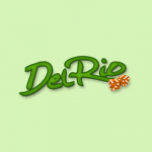 Logo Casino Del Rio