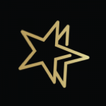 Logo DoubleStar Casino