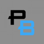 Logo PunchBets Casino