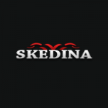 Logo Skedina Casino