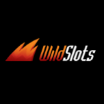 Logo WildSlots Casino