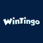 Logo WinTingo Casino